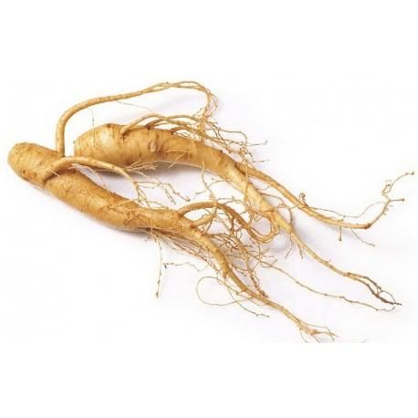 Korean Ginseng Powder product image