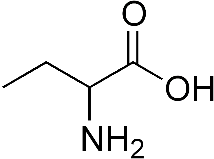 γ-aminobutyric acid (GABA) product image