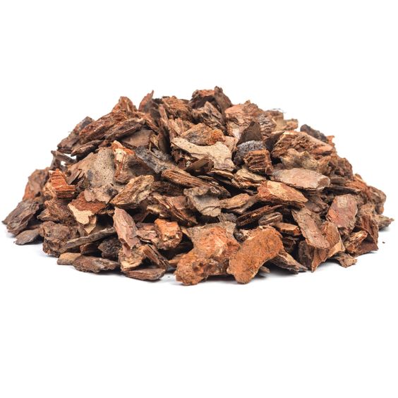 White Pine Bark Powder Extract-Polyphenol 30% UV product image