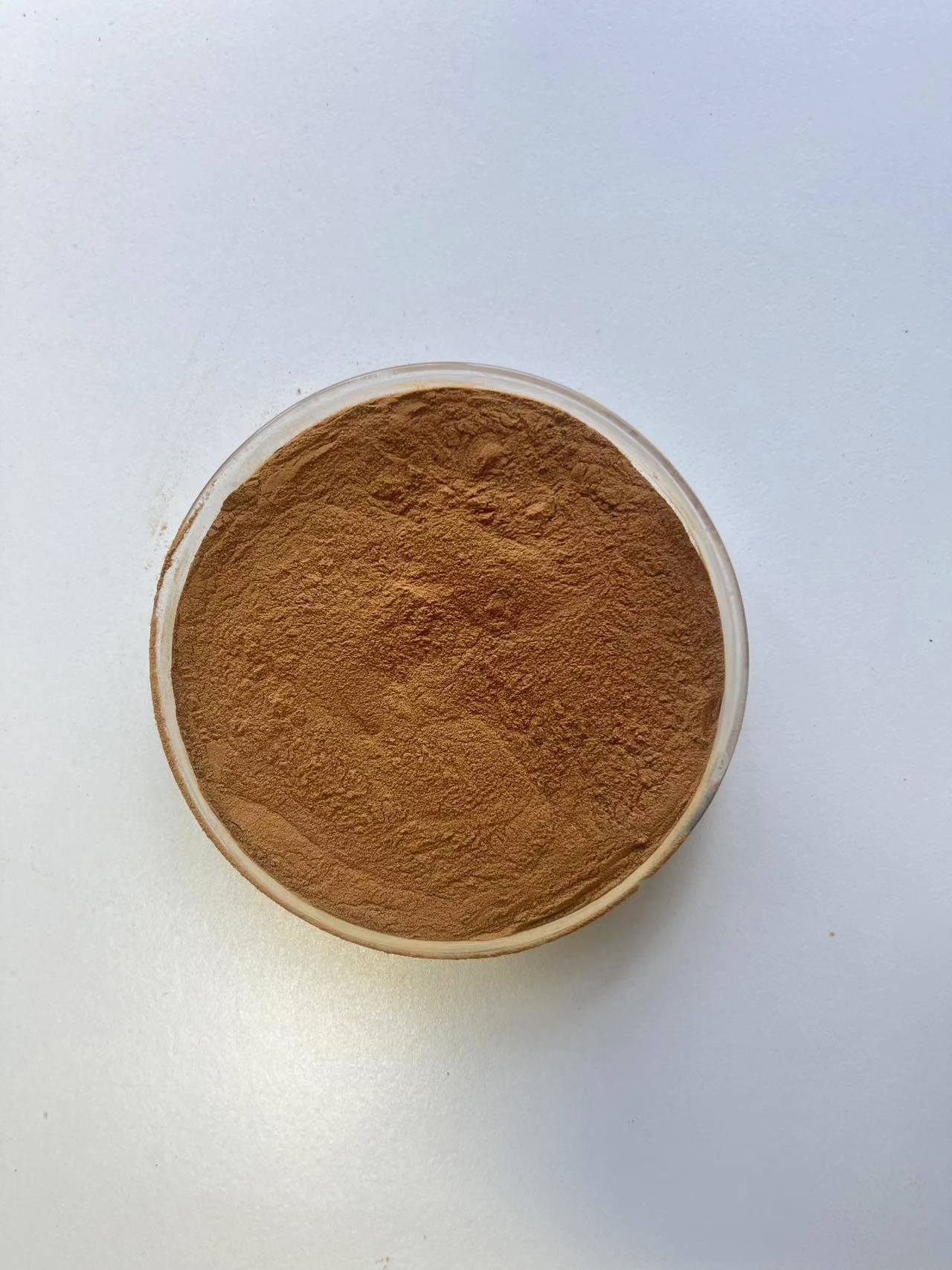 Rhodiola Rosea Powder Extract Rosavins 3% HPLC, Salidroside 1% HPLC product image