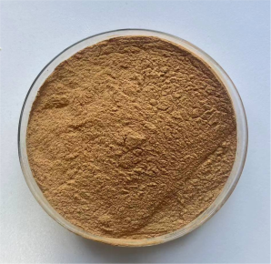 Grains of Paradise Extract Powder 6-Paradol 12.5% HPLC product image