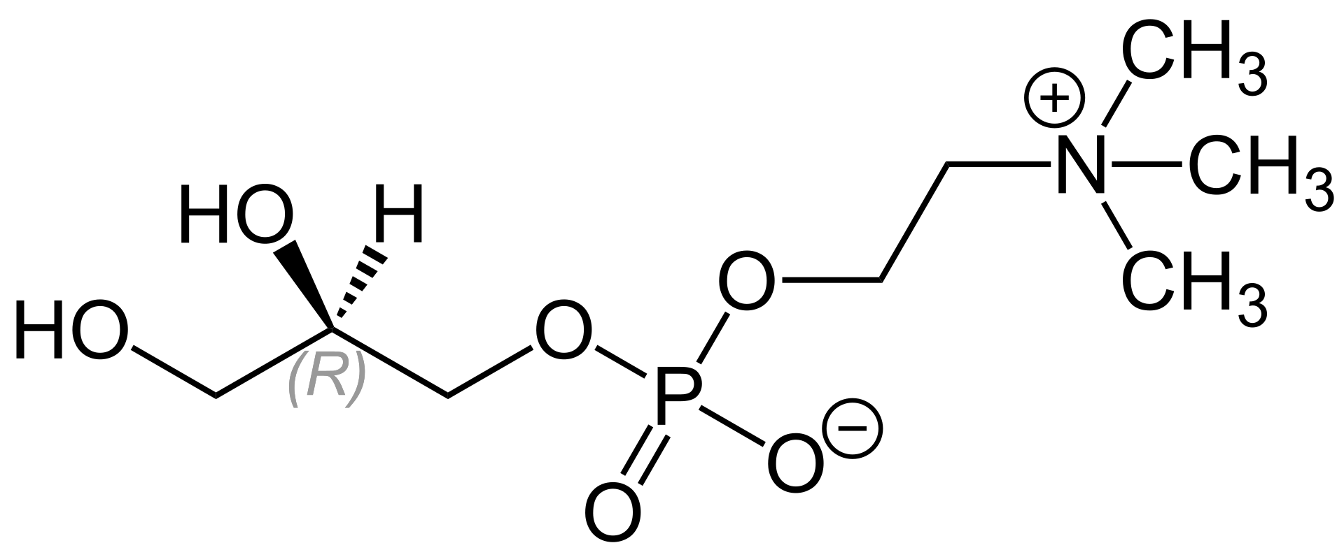 L-Alpha-glycerylphosphorcholine (Alfa GPC ) product image