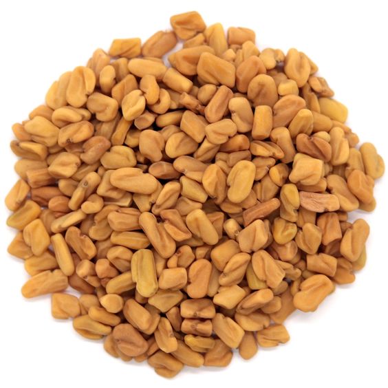 Fenugreek Seed Powder Extract-8:1 product image