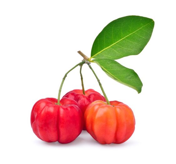 Acerola Cherry Powder Extract-4:1 product image