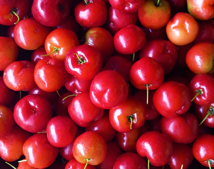 Acerola Cherry Extract Powder Vitamin C 17% product image