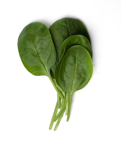 Spinach Juice Powder product image