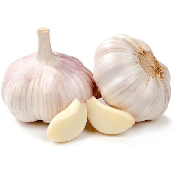 Deodorized Garlic Powder Extract-4:1 product image