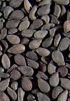 Organic Black Natural Sesame Seed product image