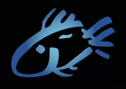International Fish Canners (Holdings)Ltd. logo