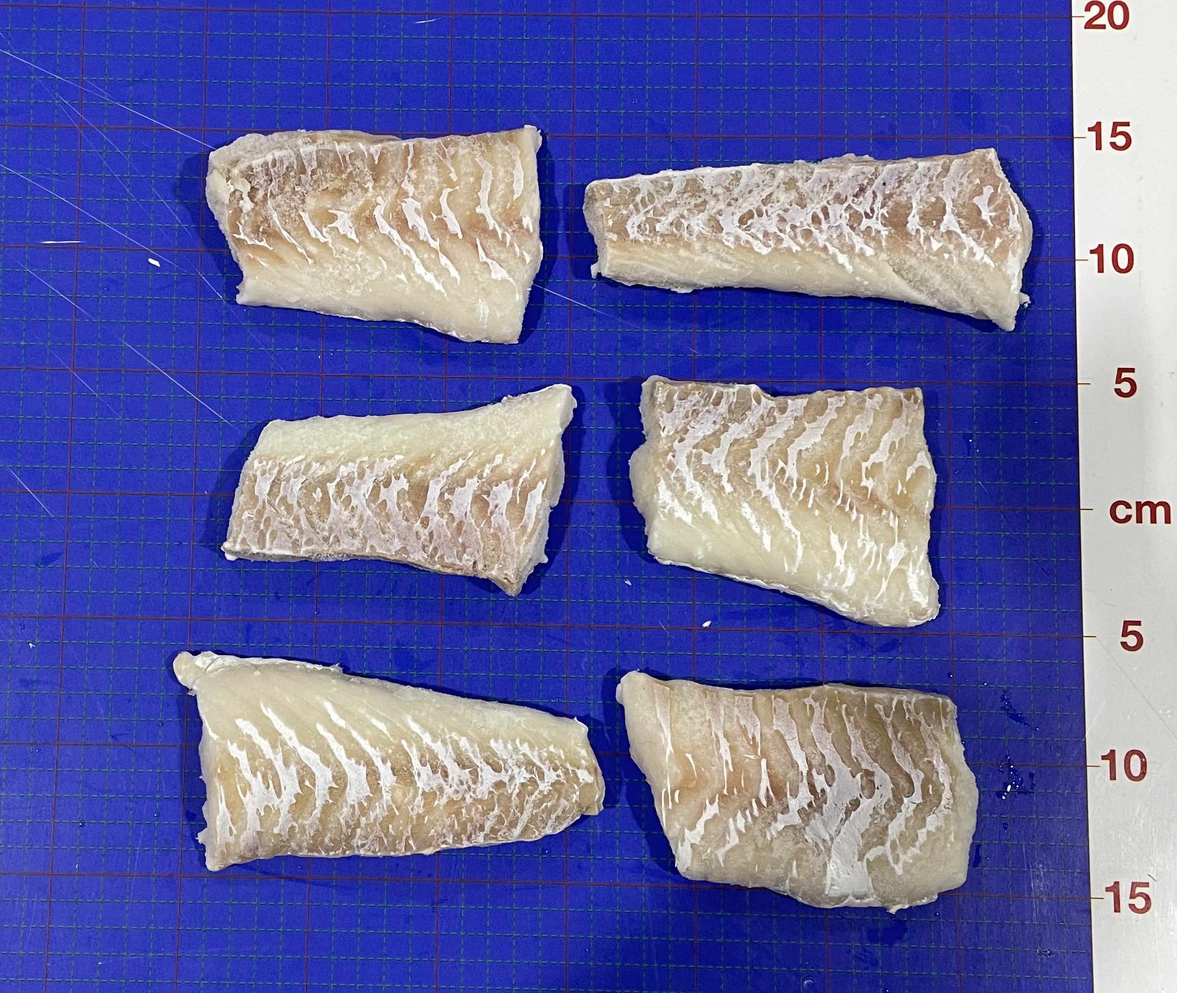 50/20# MSC Acod Ptn 4-6oz 1XU product image