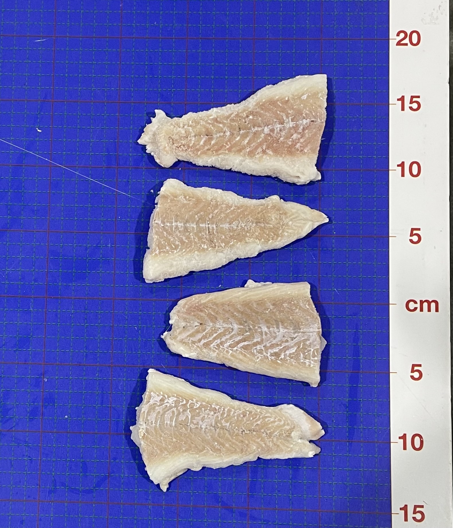 COD ATLN TLS 2-3OZ S/B RAW CF IQF TOTE WLD MSC ISL FRZ (1-1100) product image