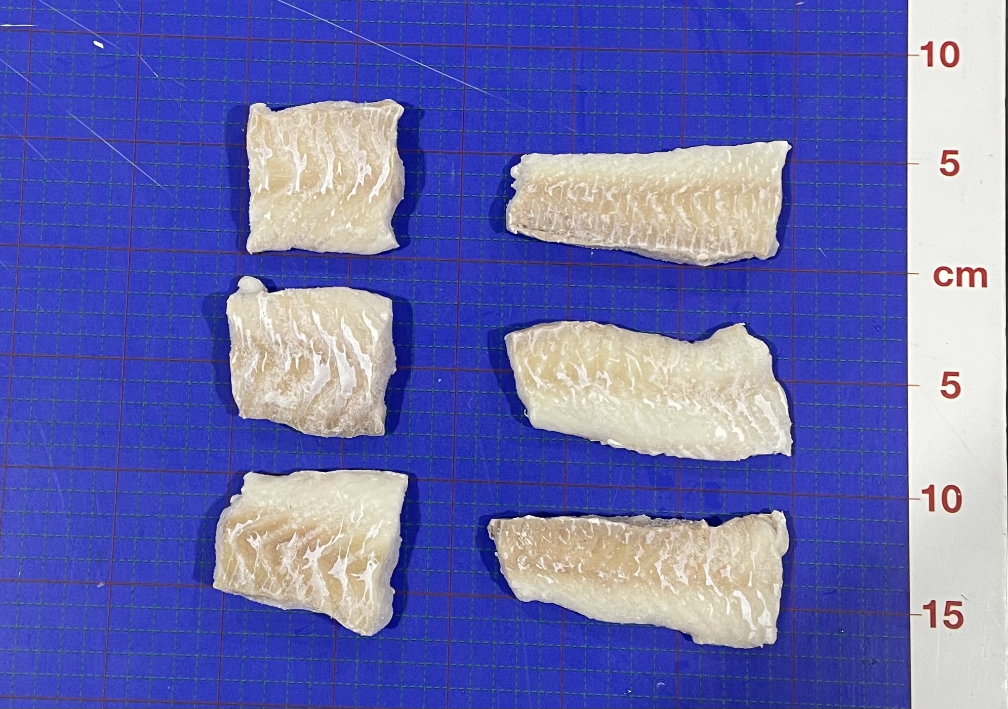 COD ATLN POR 2.25-2.75OZ S/B RAW HRBNKS CF IQF WLD MSC ISL FRZ (1-10) product image