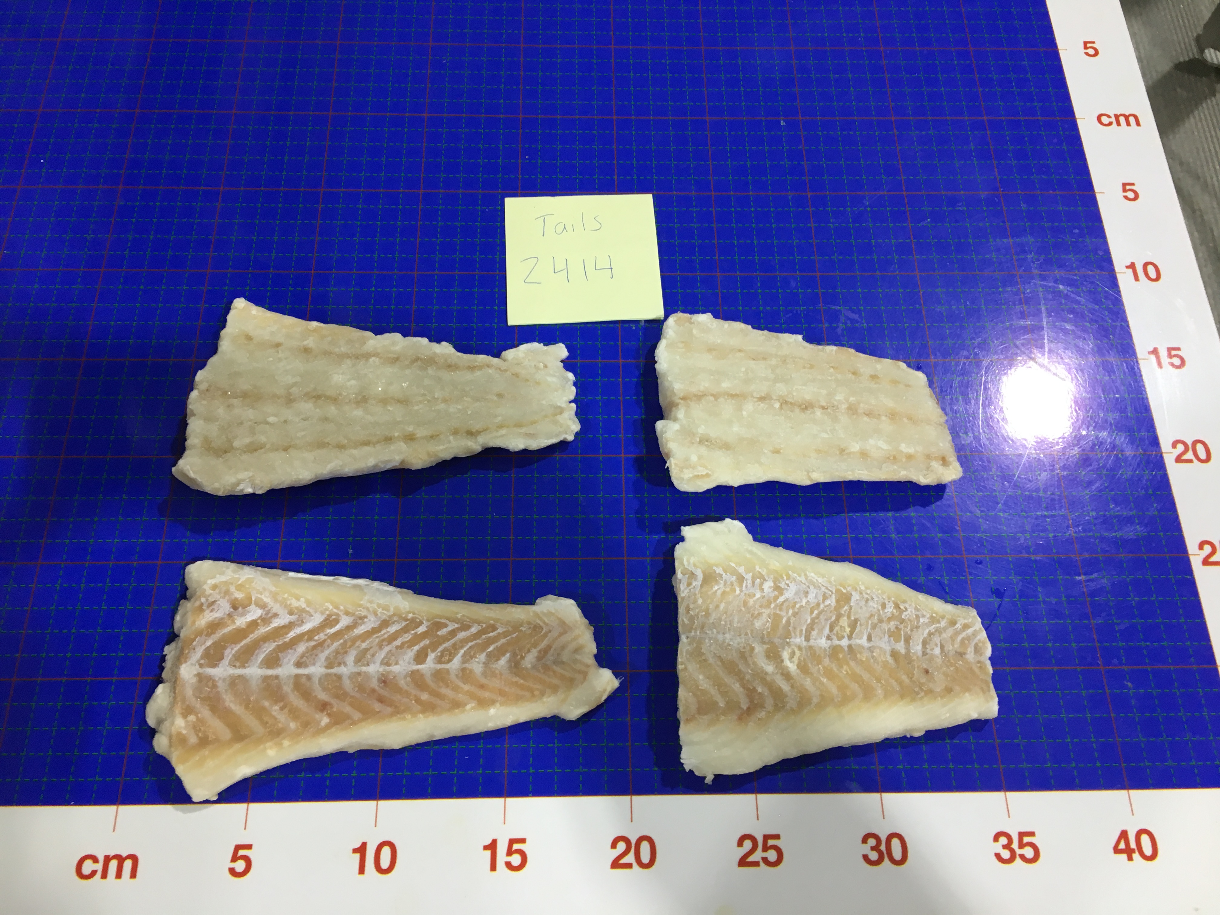 ICE 10LB MSC COD TAIL 5OZ 1X product image