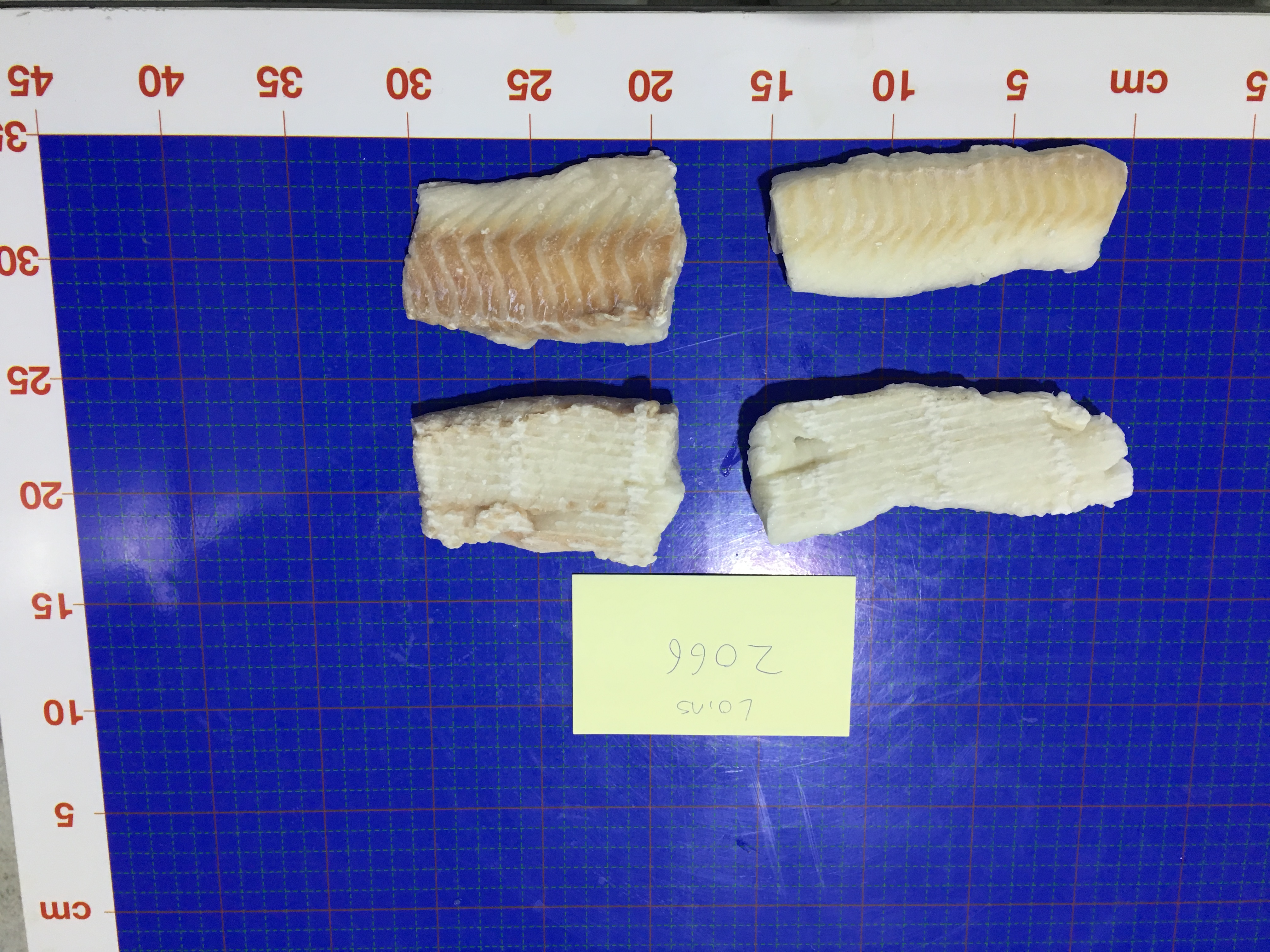 PIP 1/10 MSC Cod Loin 4OZ 1X product image