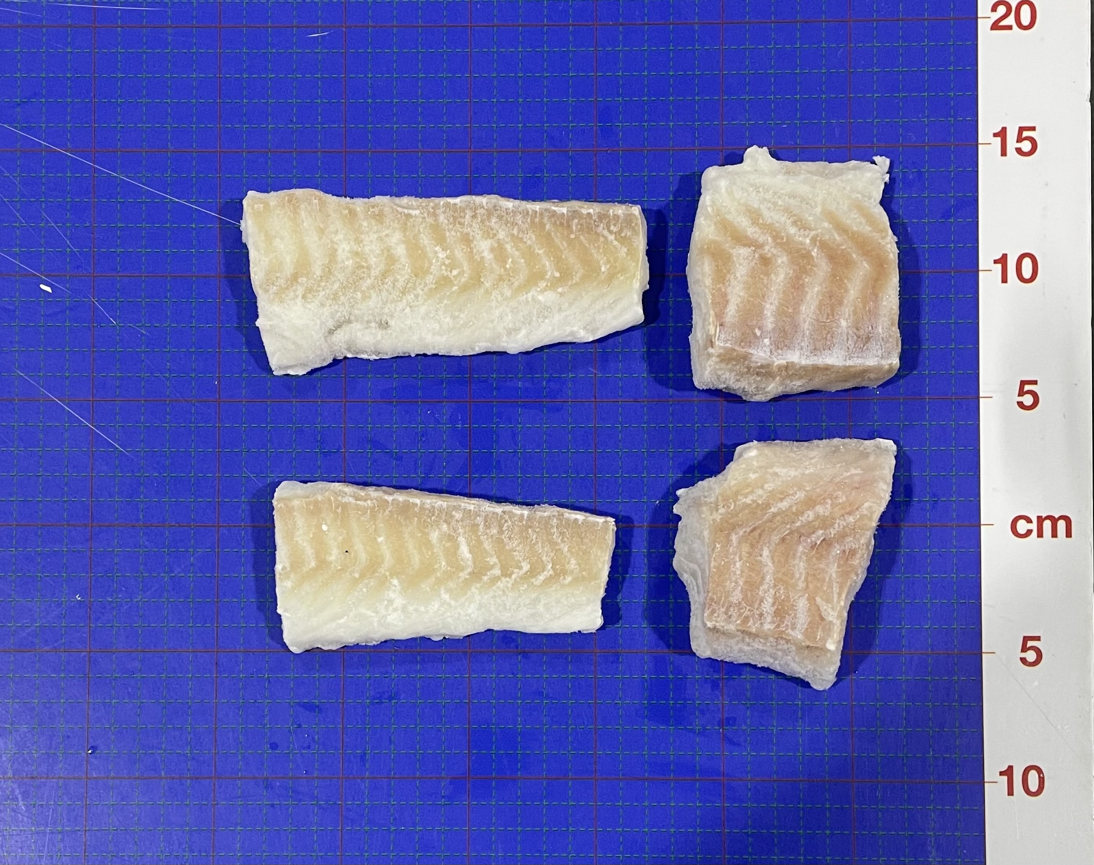 HBY 1/10 Cod Loin 5OZ 1XMSC product image