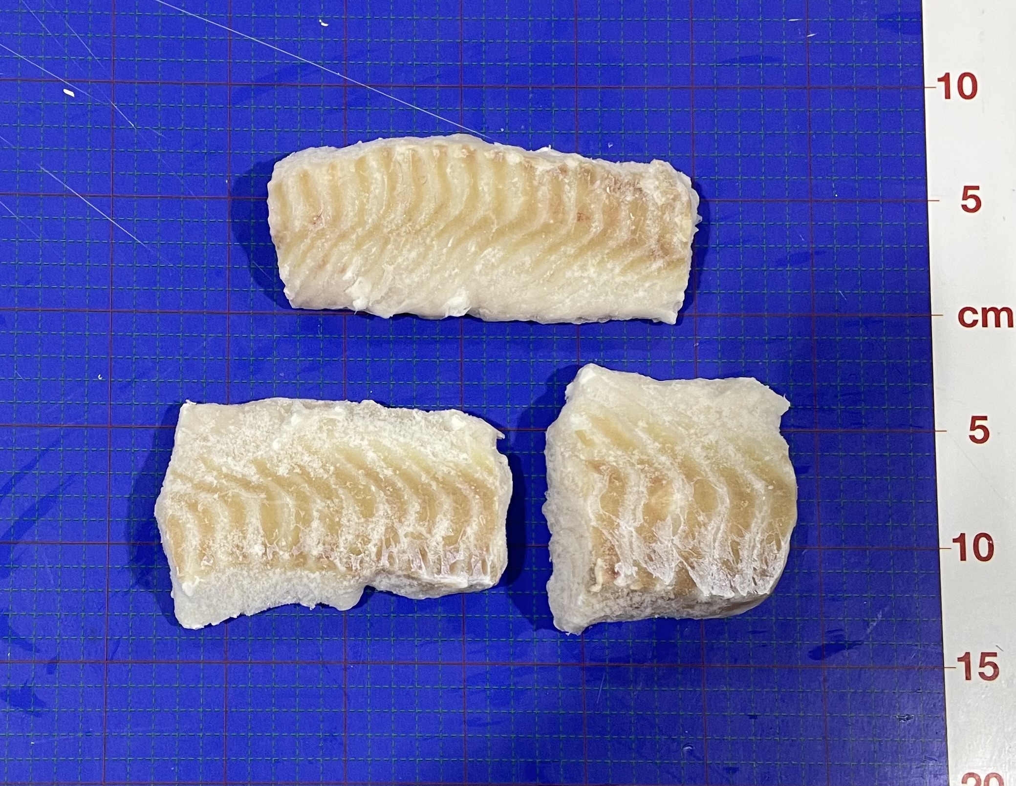 COD ATLN LN 8OZ S/B RAW HRBNKS CF IQF WLD MSC ISL FRZ (1-10) product image