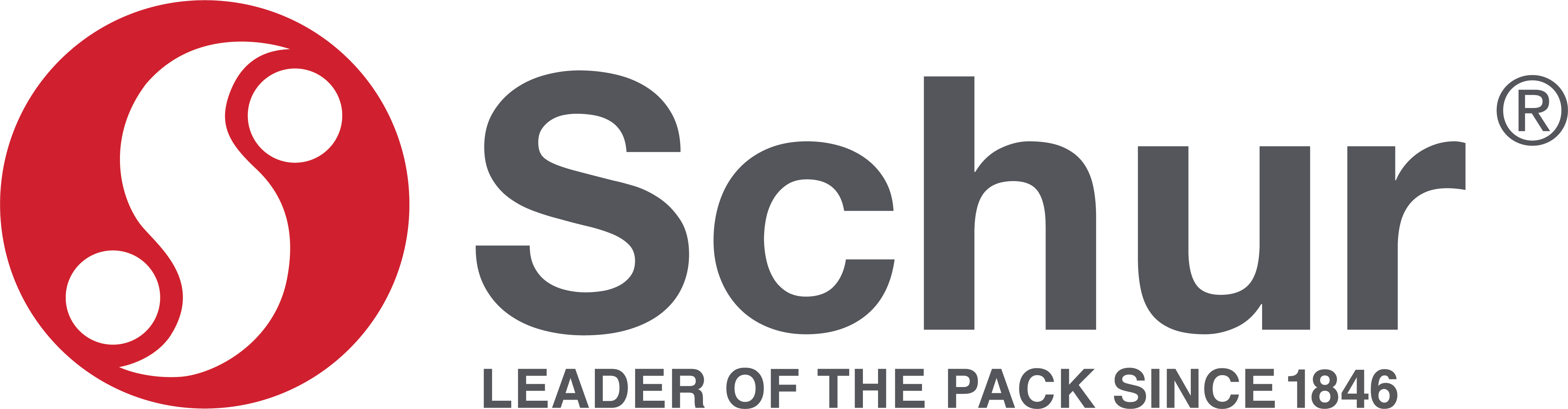 Schur Pack Germany GmbH logo