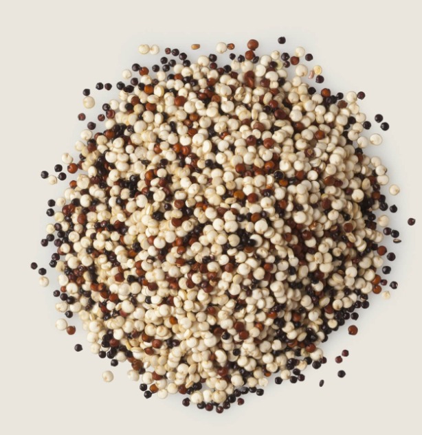 Organic NOP Tricolor Quinoa product image