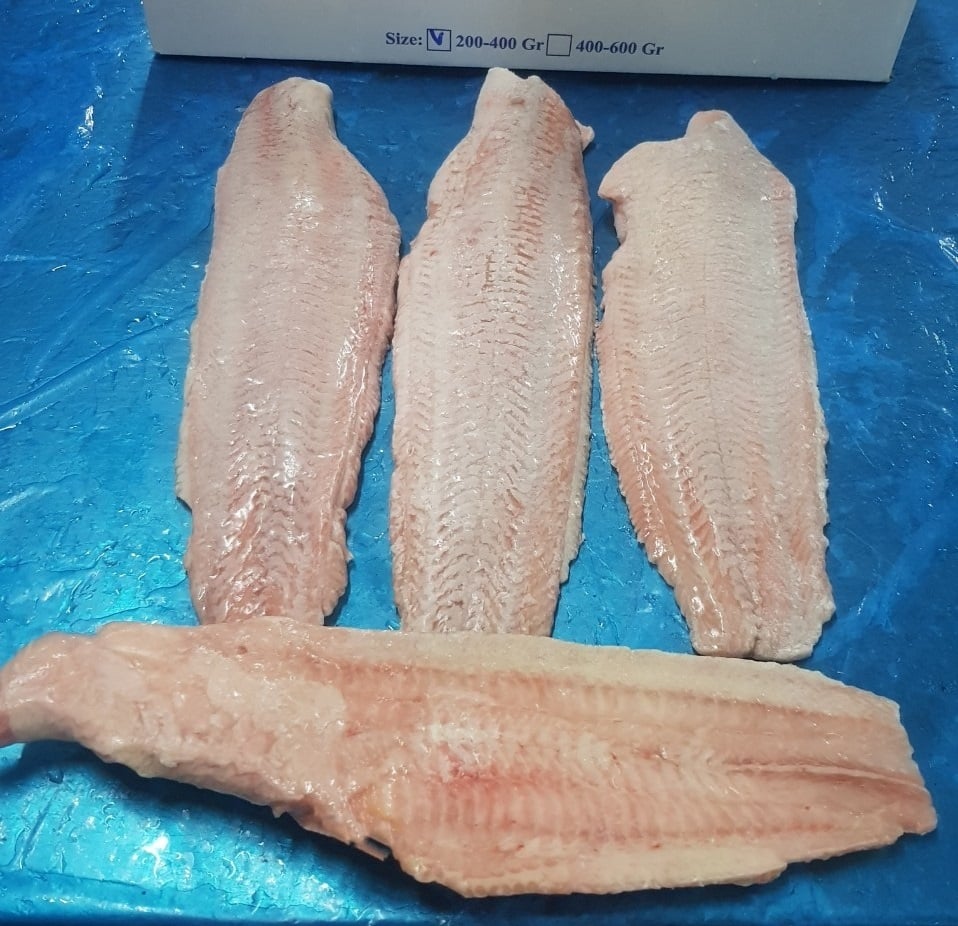 Catfish Fillet product image