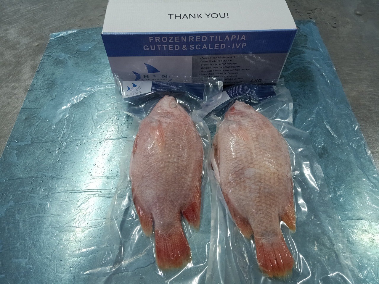 Red Tilapia whole, gutted, scaled product image