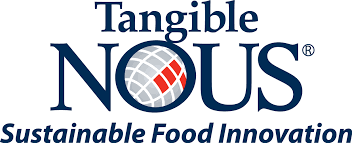 Tangible Nous logo