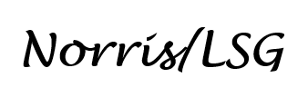 Norris/LSG logo