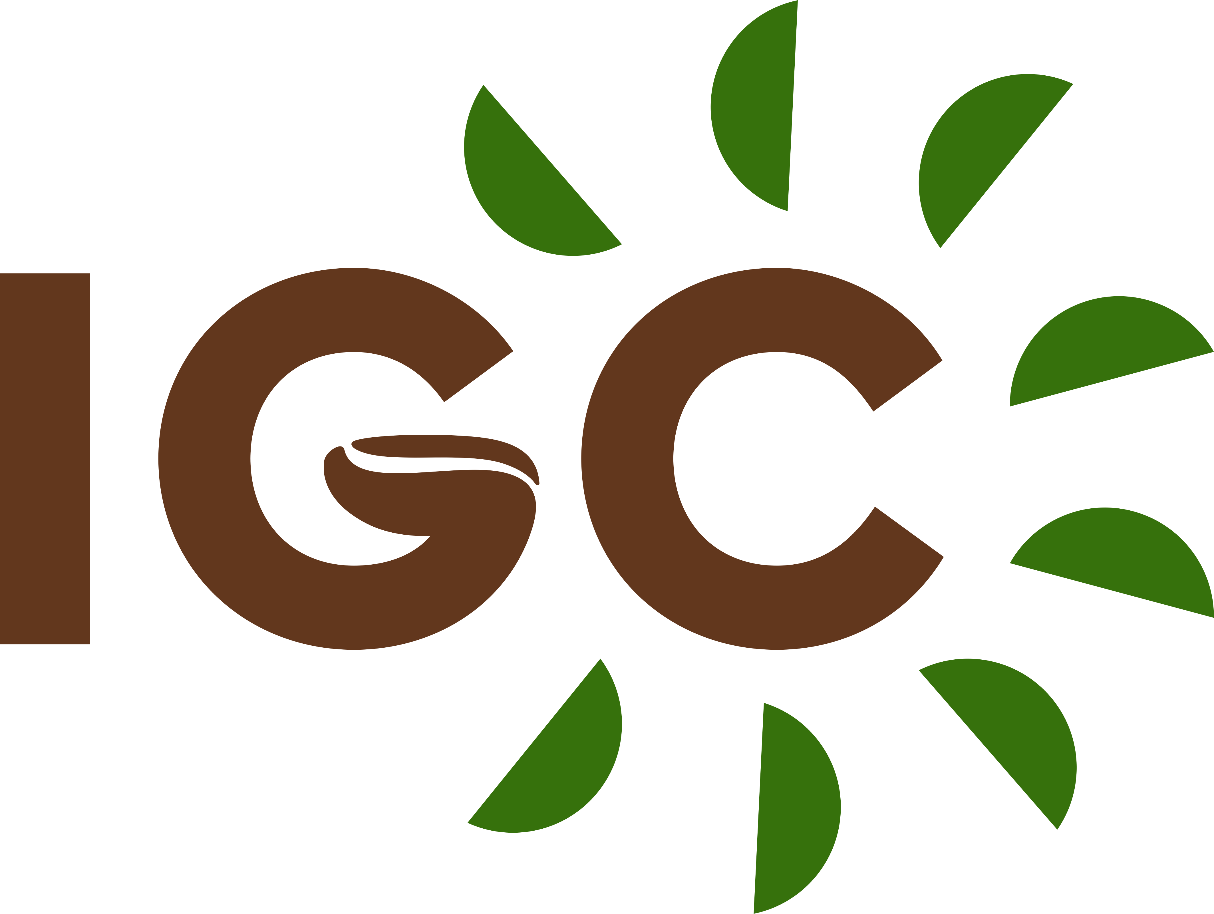 Cia Iguacu de Cafe Soluvel logo