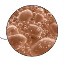 Pea Solubles product image
