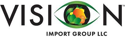VISION IMPORT GROUP LLC logo