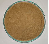 Green Coffee Extract 45% product image