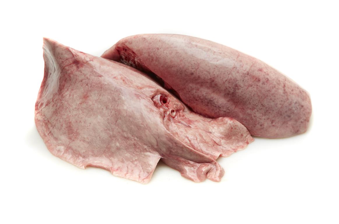 LAMB REGEN LUNG product image