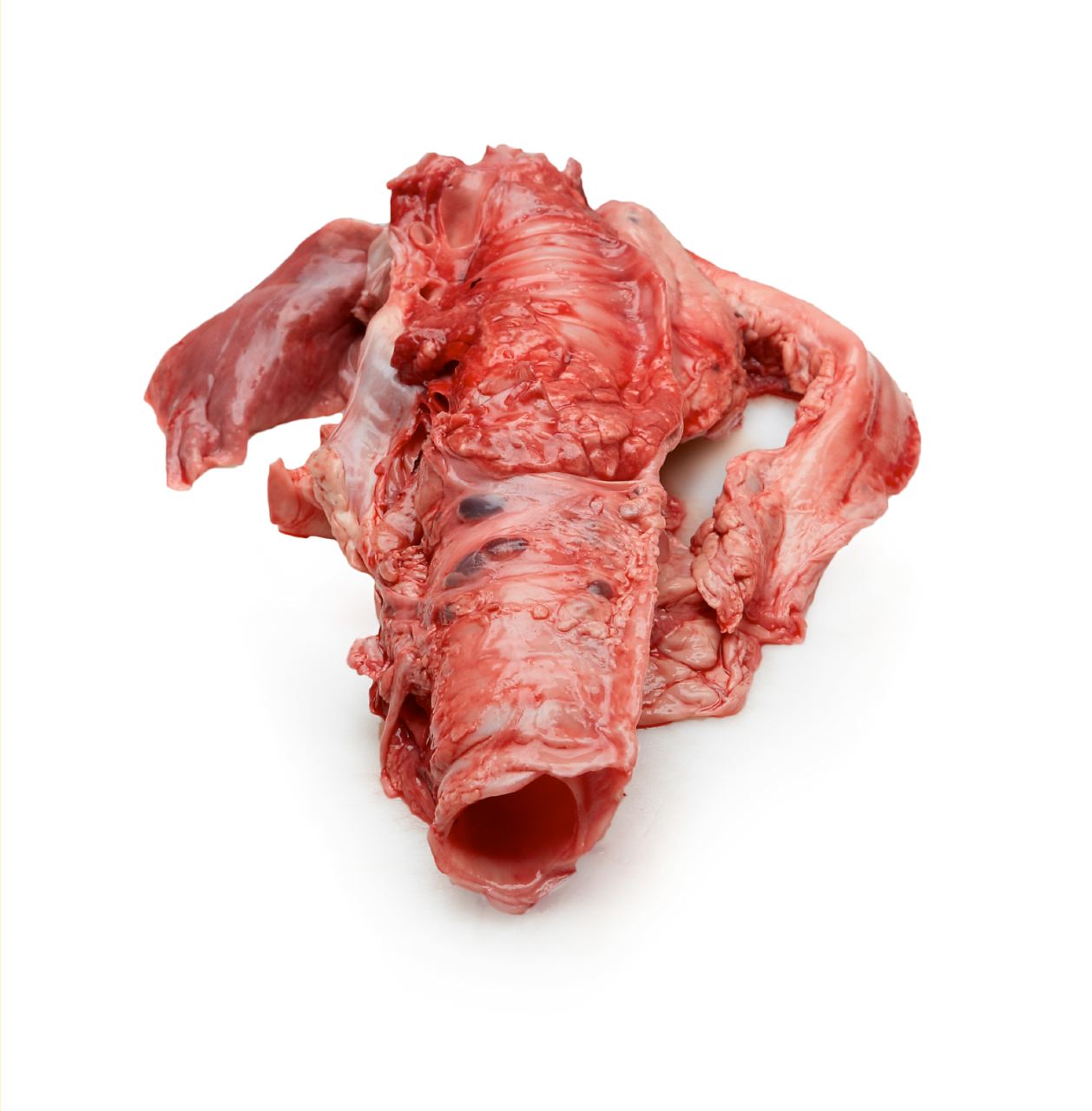 LAMB TRACHEA MEDIUM FAT TRIM product image