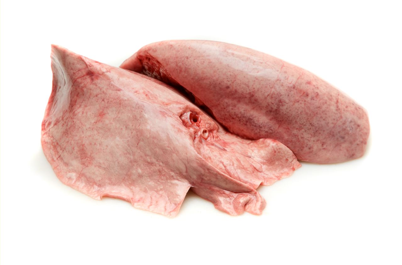 OVINE LUNGS product image