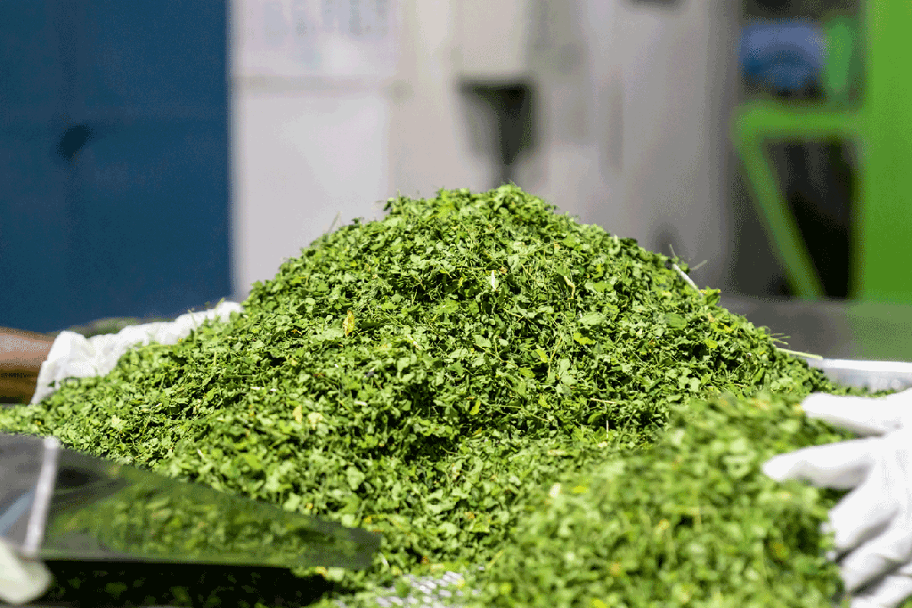 Organic Moringa Dried Leaves TBC product image