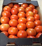Vine Ripe 5x6 product image