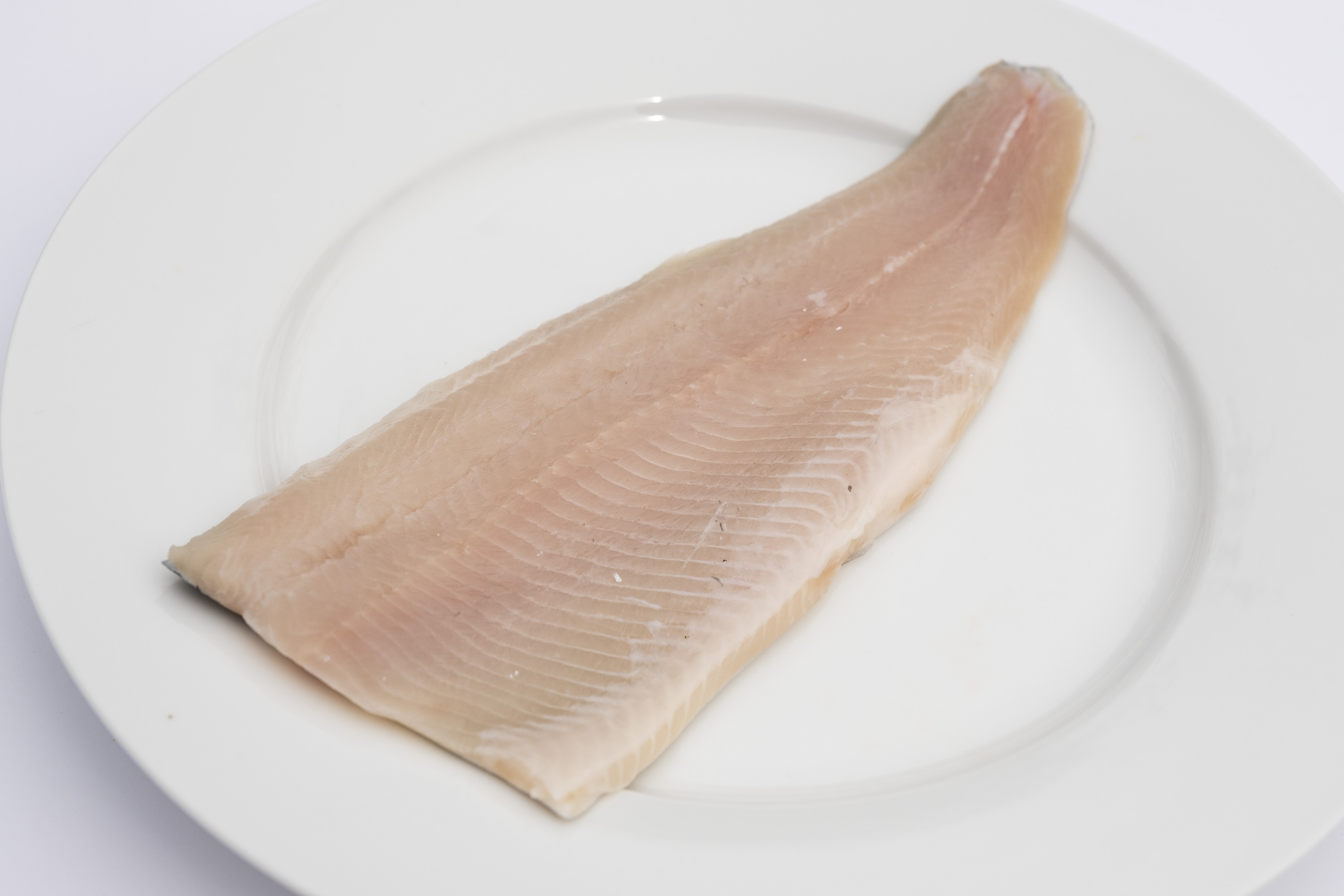 Rainbow Trout Filets (8oz) - Protein - Fish - Riverence Provisions LLC -  TraceGains Gather™ Ingredients Marketplace
