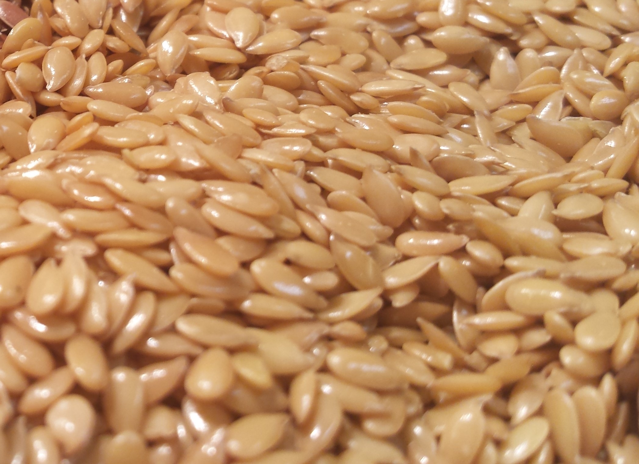 Flax Gold Organic product image