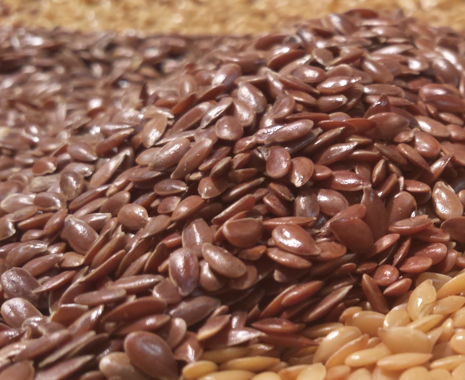Flax Brown Organic product image