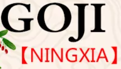 Ningxia BaiShi HengXing Food Technology Co.,Ltd logo