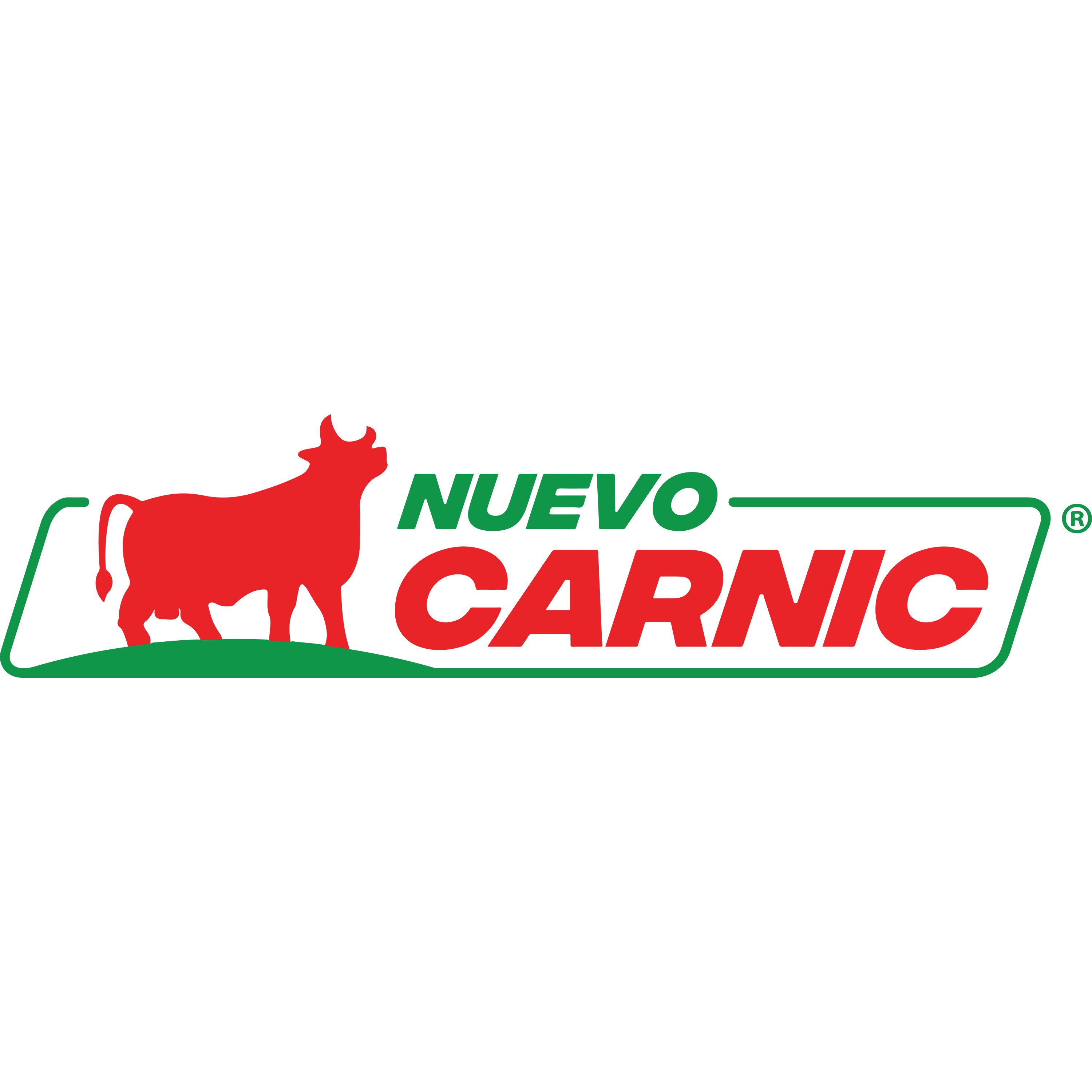 Nuevo Carnic S.A logo