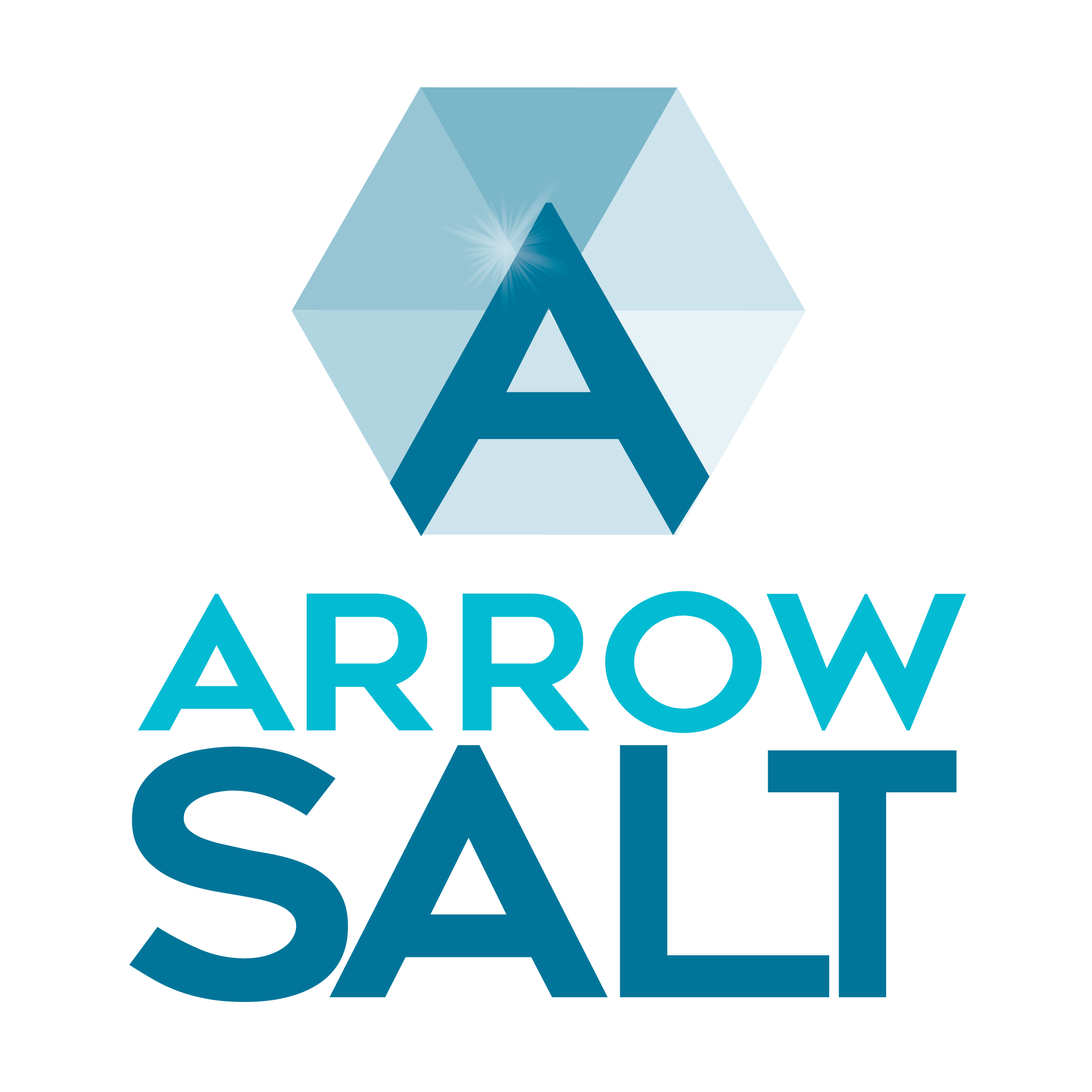 Arrow Salt, LLC logo