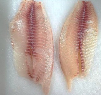 Fresh Tilapia Fil 7-9oz product image