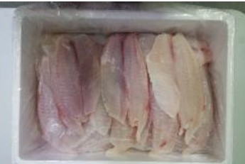 Fresh Tilapia Fil 5-7oz product image