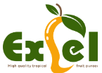 Excel Foods Pvt Ltd logo