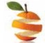 Citrus Extracts LLC logo