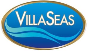 VILLASEAS INC. logo