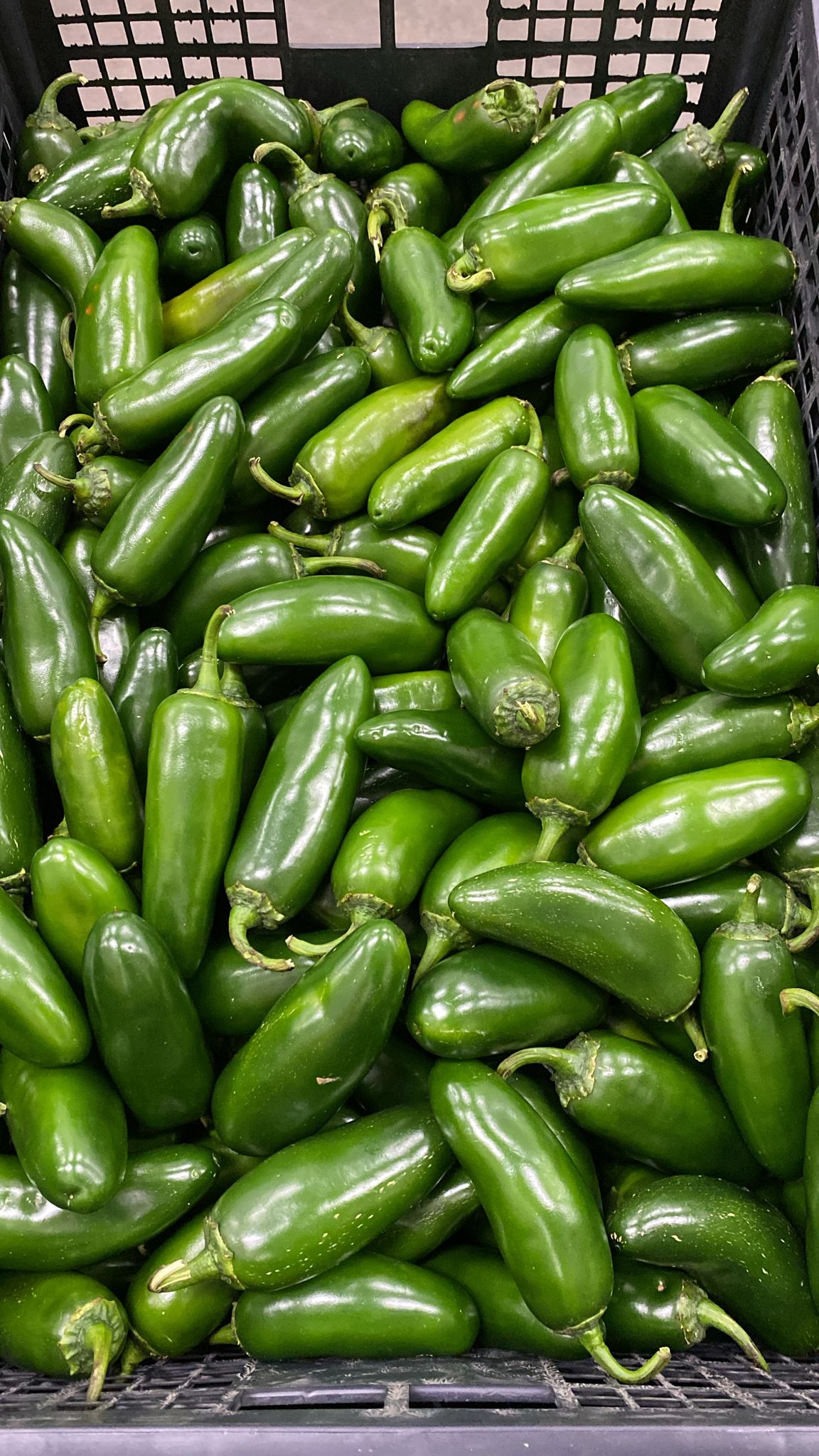 JALAPENO 35 LBS product image