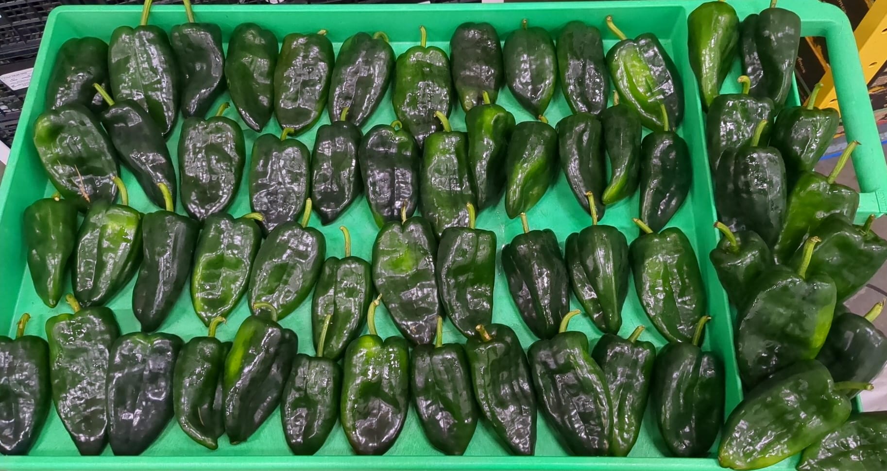 POBLANO 20 LBS product image