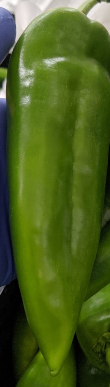 ANAHEIM 22 LBS product image