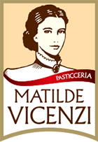 VICENZI USA INC logo